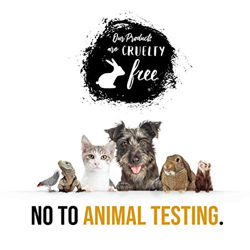 White Rose Jasmine Spa Set For Women in Elegant Gold Tub Includes Shower Gel, Bubble Bath, Body Lotion, Jasmine Bath Salt, Pouf, Award Winning Bath Body Set