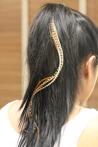 Feather Hair Extension – Rainbow Remix, Five Genuine Rooster Feathers, All Bonded Together at the Tip, Includes 2 Silicone Micro Beads, Ranging From 6 to 12 Inches in Length