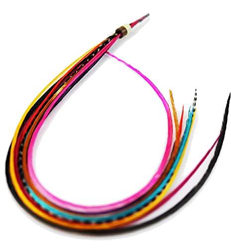 Feather Hair Extension – Rainbow Mix, Eight Real Rooster Feathers, All Bonded at the Tip, Ranging From 8 to 11 Inches in Length, One Extension