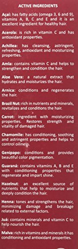 Surya Brasil - Henna Cream for Gray Coverage, Semi Permanent Natural Henna Deep Conditioning Hair Color Treatment, Black, 2.37 oz / 70 ml