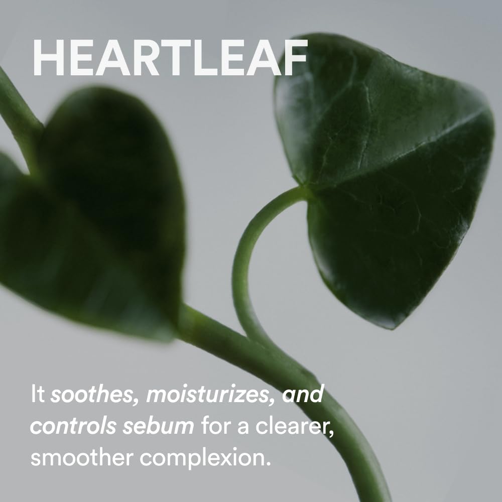 Abib Heartleaf Pore Cleansing Oil 200ml - Gentle Cleanser for Sensitive Skin & Blackhead Removal