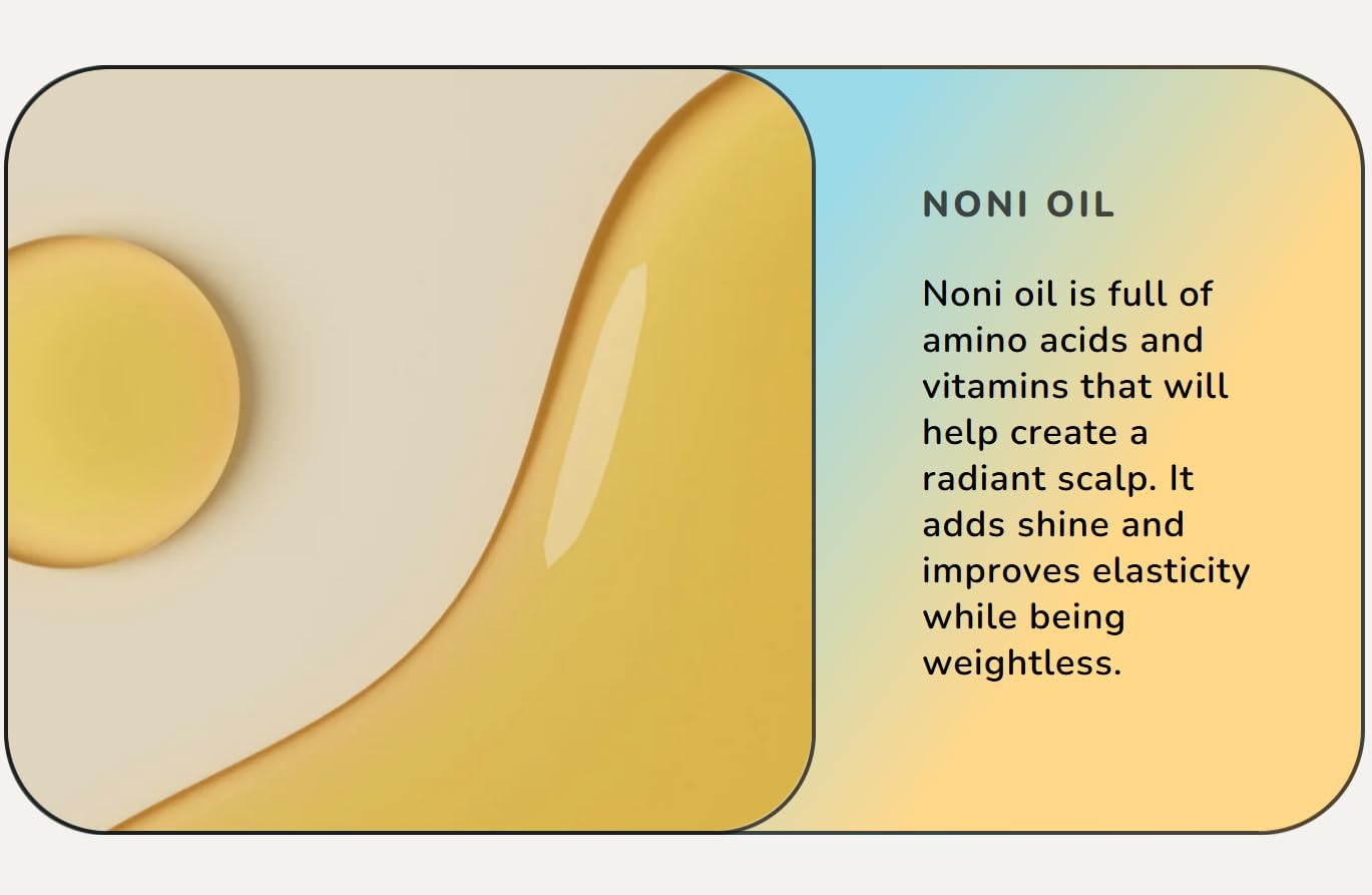 Cloud Weightless Nourishing Leave-in Detangler 8 oz