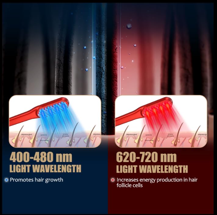 Laser Hair Growth Comb,Red Light Hair Growth Treatment for Men & Women(Red 1pcs )