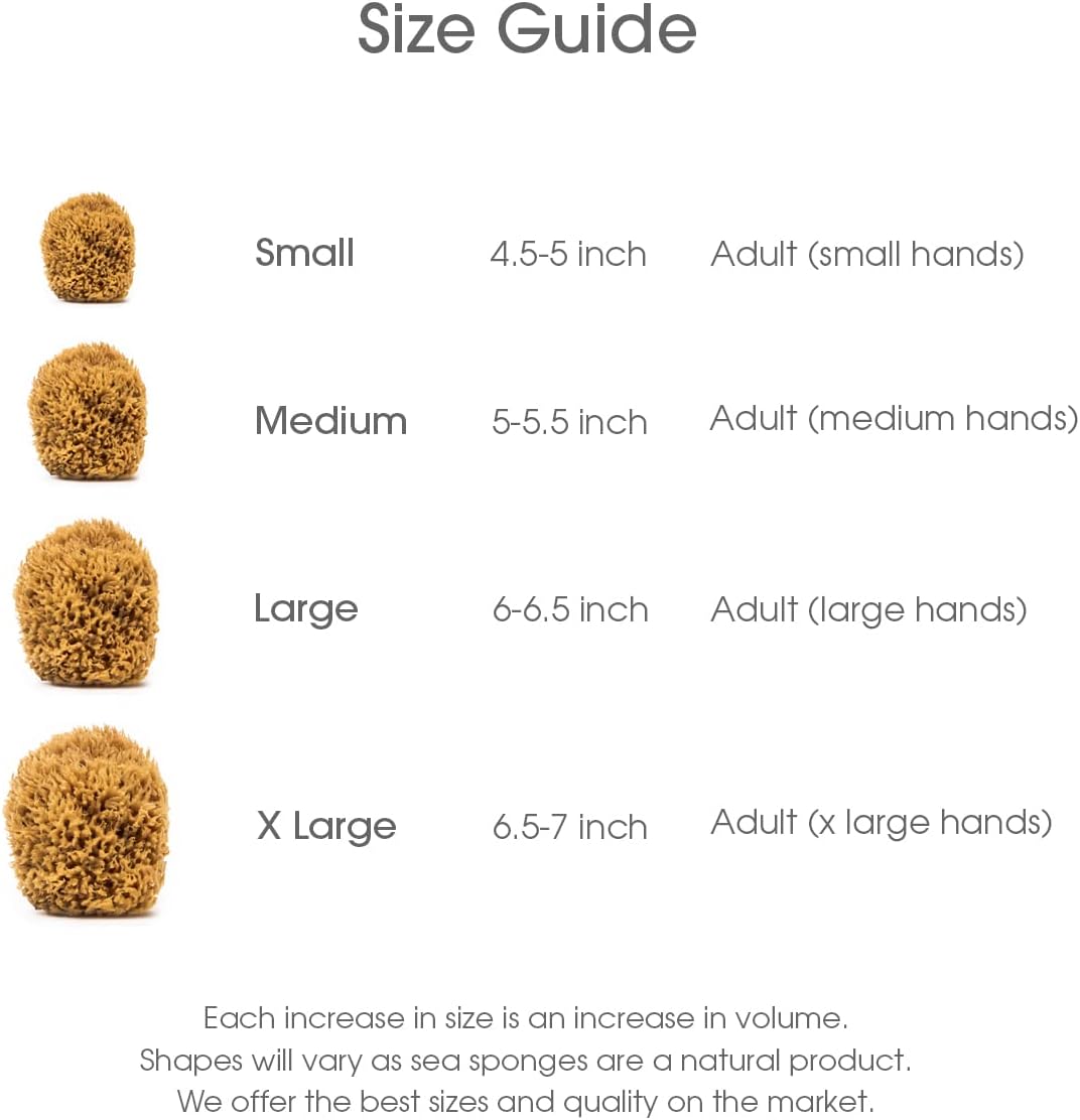 Large Unbleached Natural Sea Loofah Sponge | Gentle Bath & Shower Body Scrubber