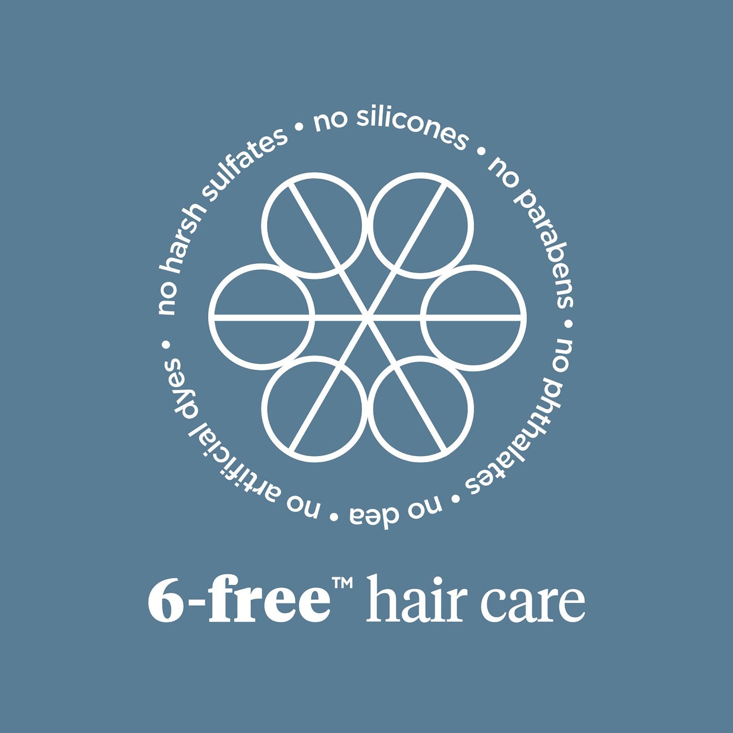 Briogeo Scalp Revival Charcoal + Tea Tree Scalp Treatment, Scalp Serum to Soothe a Dry, Flaky, Itchy Scalp, Absorb Oil, Hydrate Dry Scalp, Clarify Build Up, Vegan, Cruelty-Free, 1 fl oz
