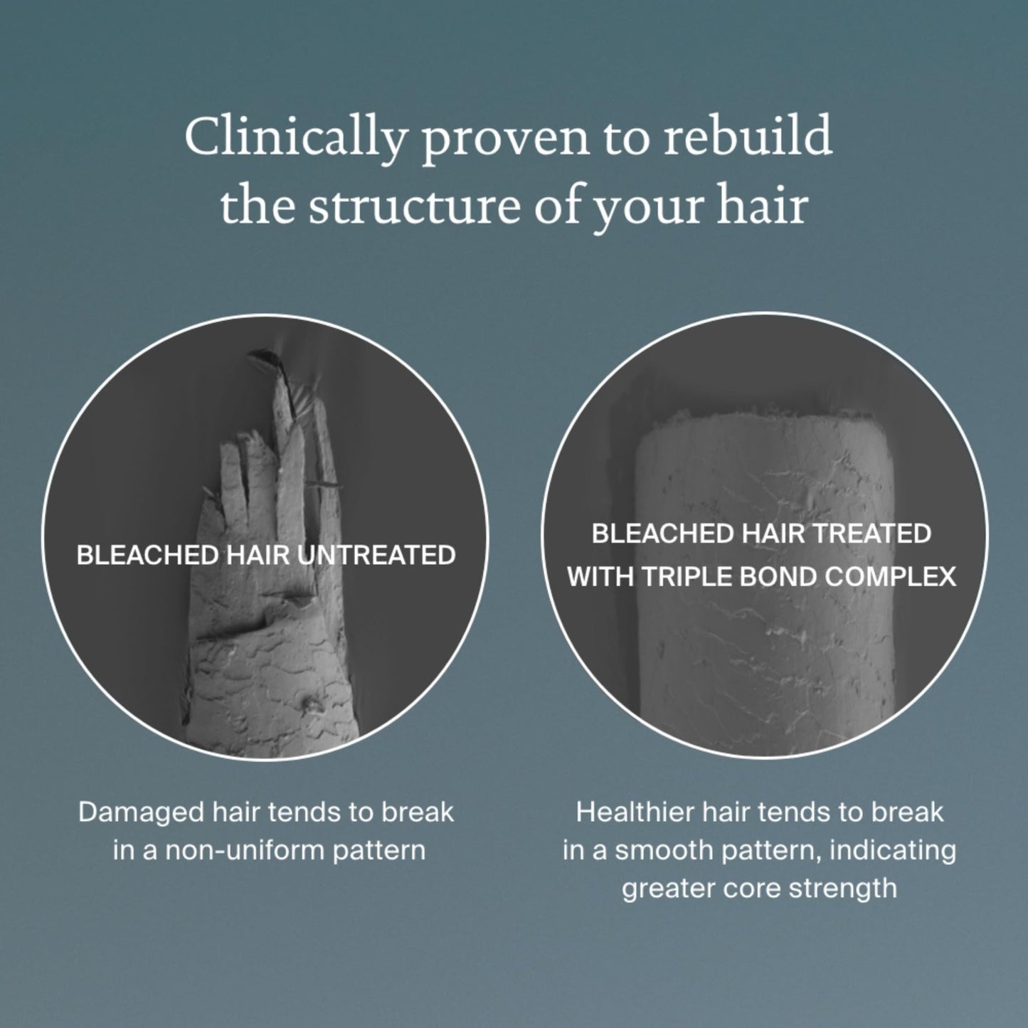 Living proof Triple Bond Complex Leave-In Treatment and Hair Mask