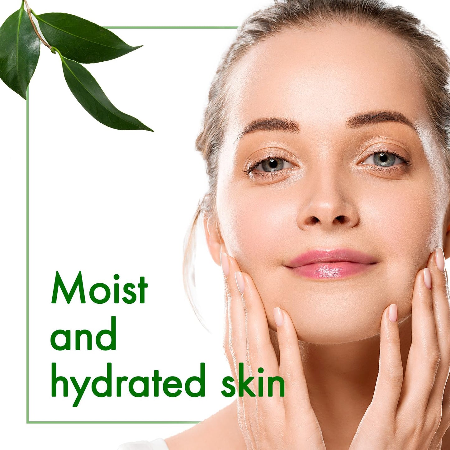 Oshima Tsubaki Camellia seed Oil - English Packaging for US - 100% Pure and Natural, Plant-Based, Single-Ingredient, Moisturizing for Hair, Face, Skin, and Nails, Japanese Beauty - 2.03 fl oz (60ml)