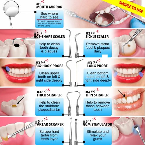 G.CATACC 10 Pack Dental Tools, Professional Plaque Remover for Teeth Cleaning Tools Set, Stainless Steel Hygiene Kit with Dental Pick Tooth Scraper Plaque Tartar Remover Tongue Cleaner - with Case