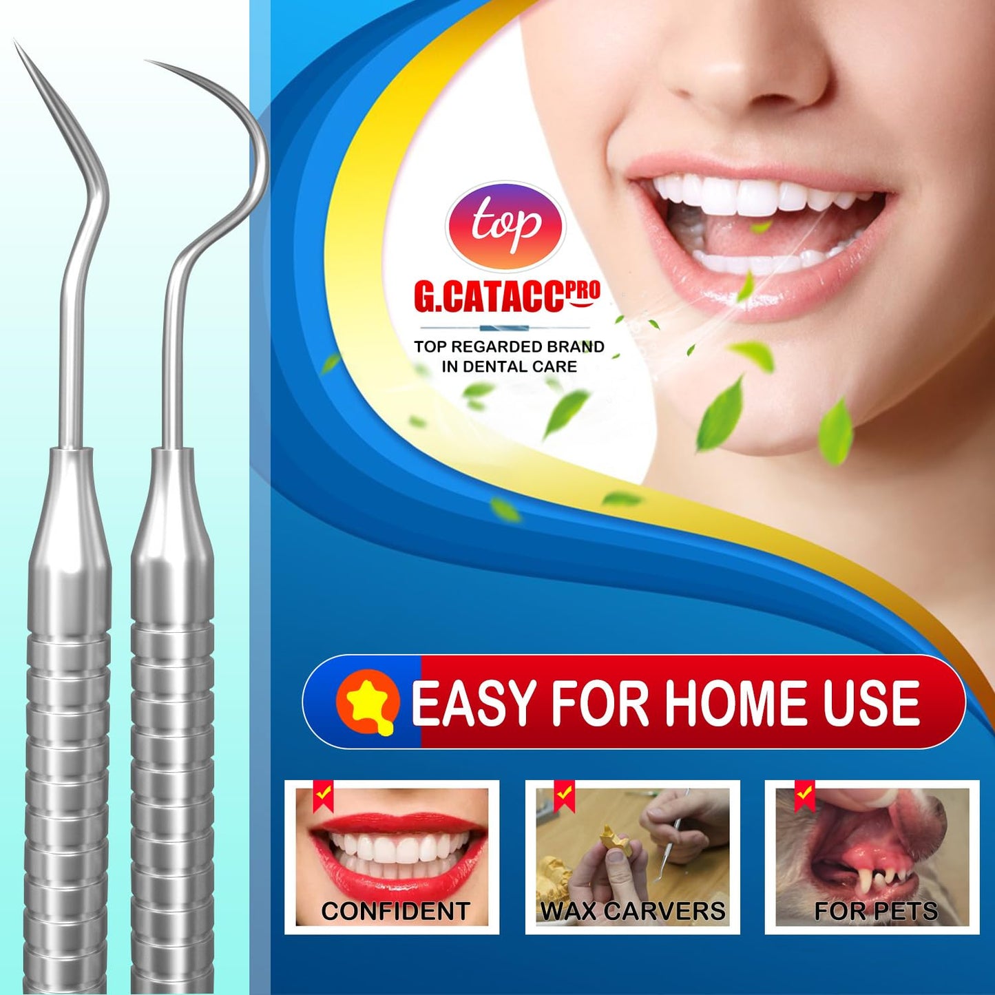 CATACC PRO Dental Tools, Dental Pick for Teeth Cleaning, Stainless Steel Hygiene Kit with Tooth Scraper Plaque Tartar Remover - with Case