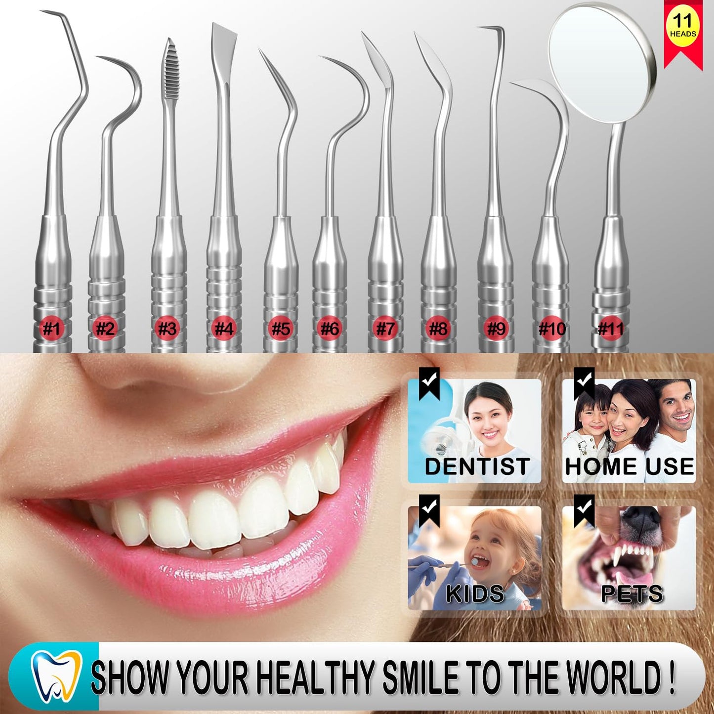 CATACC PRO Dental Tools, Dental Pick for Teeth Cleaning, Stainless Steel Hygiene Kit with Tooth Scraper Plaque Tartar Remover - with Case