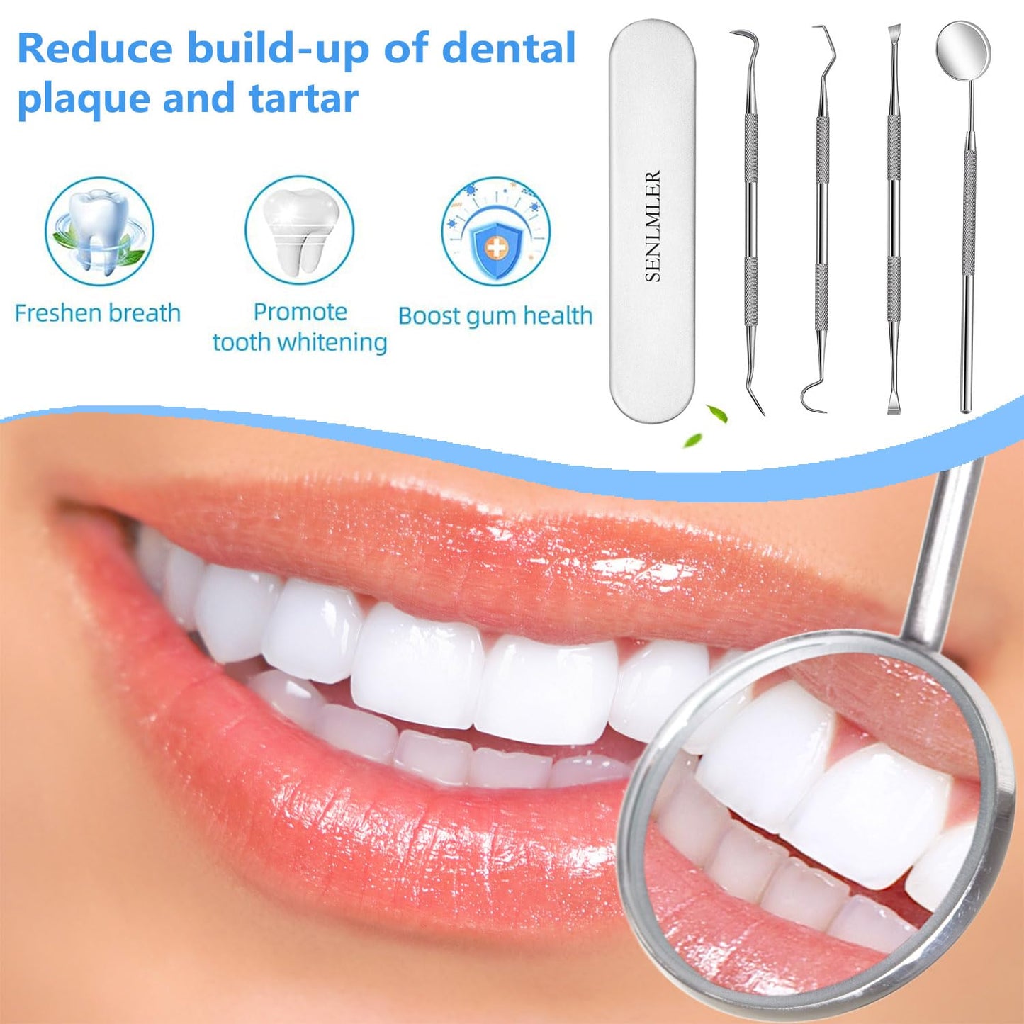 SENLMLER Dental Tools, Professional Plaque Remover Teeth Cleaning Tool Kit, Stainless Steel Dental Pick Tartar Scraper Tooth Cleaner, Oral Care Hygiene Set for Dentist Personal Pets with Storage Box