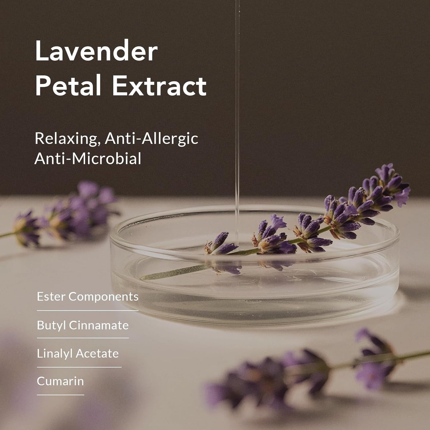 Rose Oil Anti-Aging Body Wash with Real Petals | Deep Moisturizing Shower Gel for Dry Skin, 16.9 fl oz