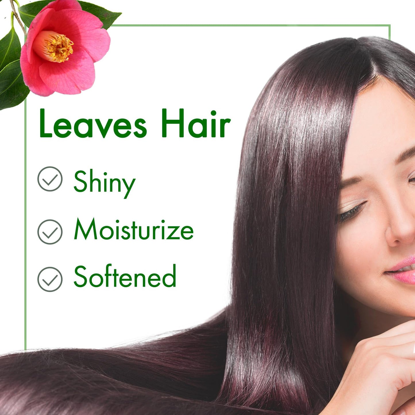 Oshima Tsubaki Camellia seed Oil - English Packaging for US - 100% Pure and Natural, Plant-Based, Single-Ingredient, Moisturizing for Hair, Face, Skin, and Nails, Japanese Beauty - 2.03 fl oz (60ml)