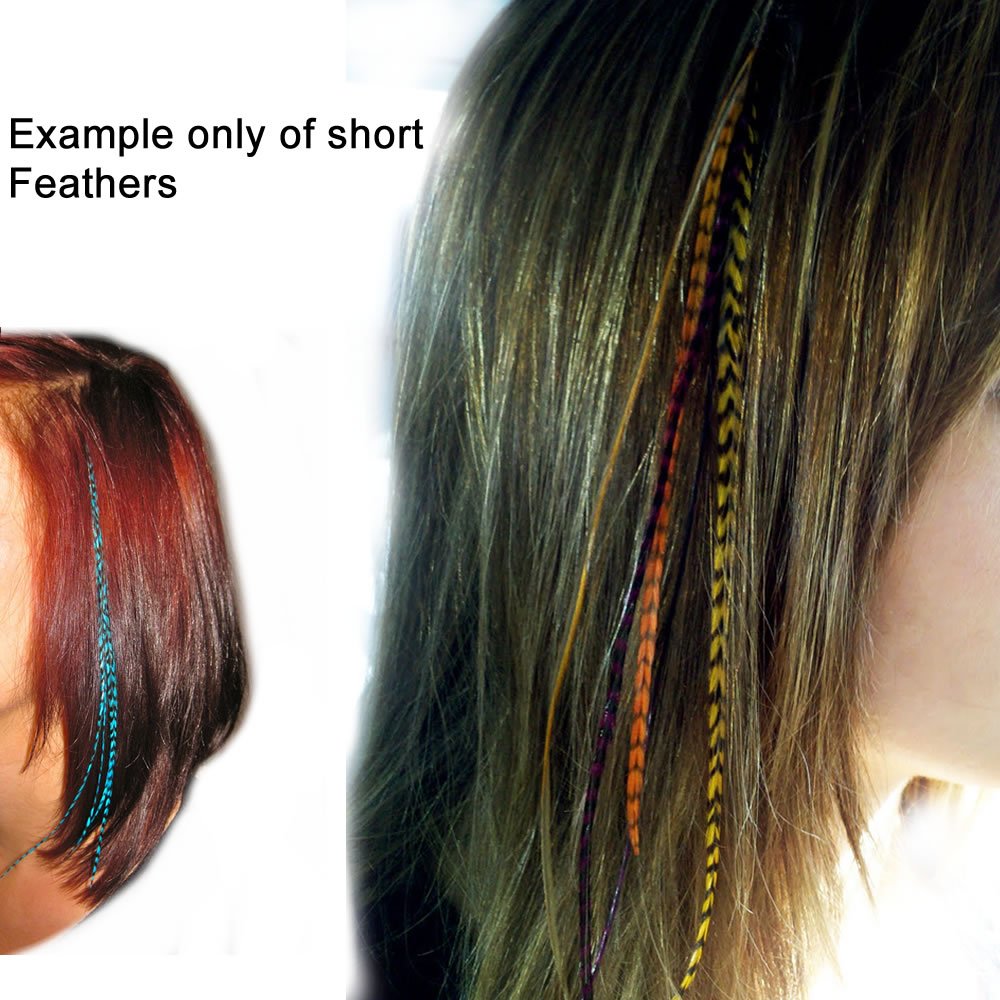 Pink & Black Mix 4"-7" Feathers for Hair Extension Includes 2 Silicone Micro Beads 5 Feathers