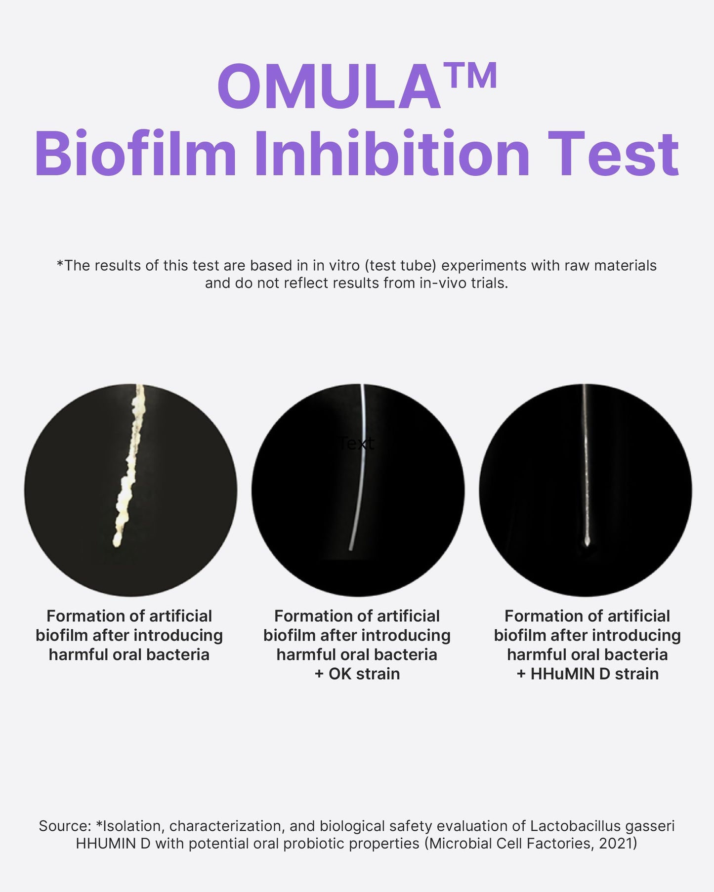 K-Nutra Dentifresh Xylitol Tabs Purple (24g, 30 Tablets) Holiday Gifts 4 Billion CFU, Sugar-Free Oral Probiotics for Teeth & Mouth, Bad Breath Gums, Safe for Bedtime, Mild Grape Flavor with OMULA