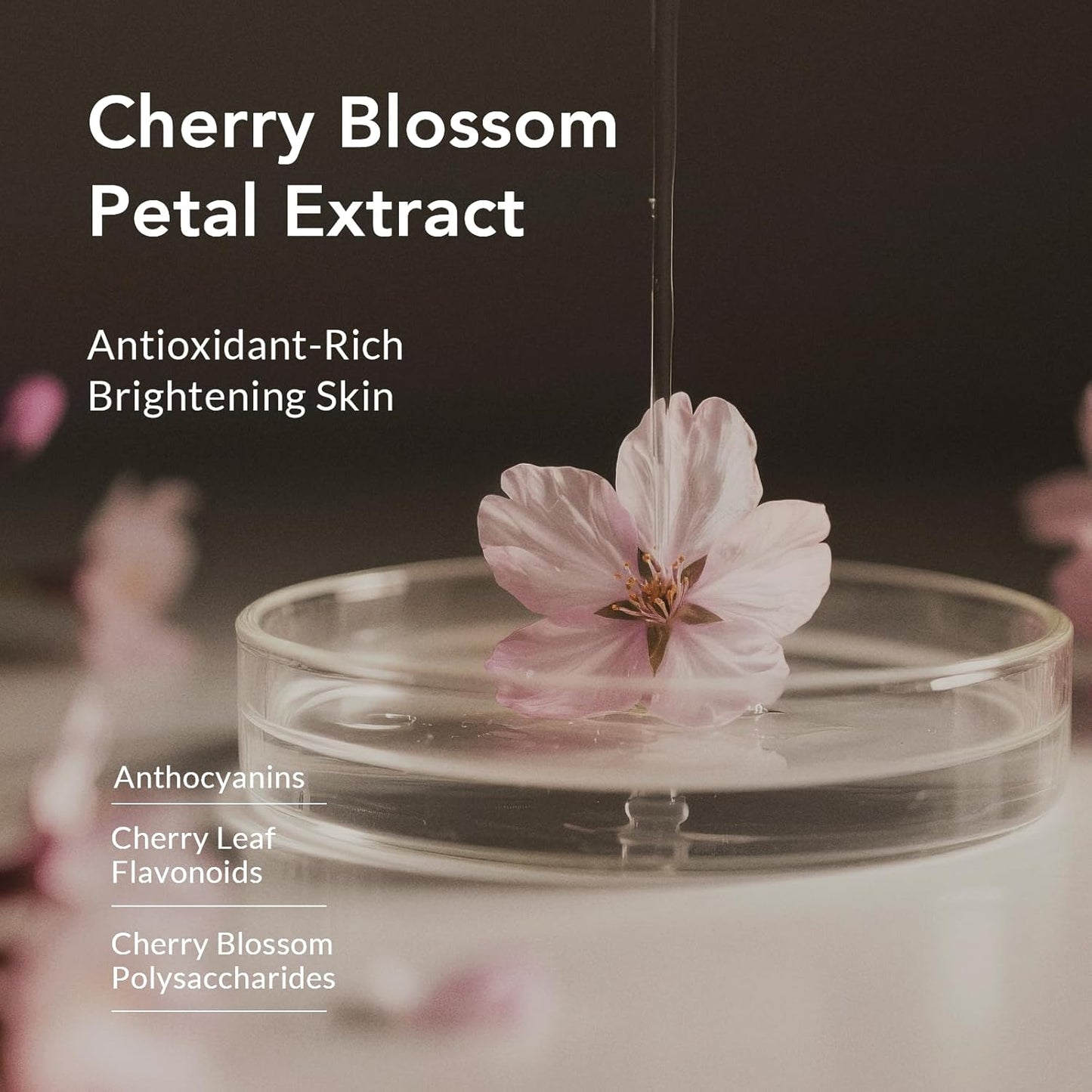 Rose Oil Anti-Aging Body Wash with Real Petals | Deep Moisturizing Shower Gel for Dry Skin, 16.9 fl oz