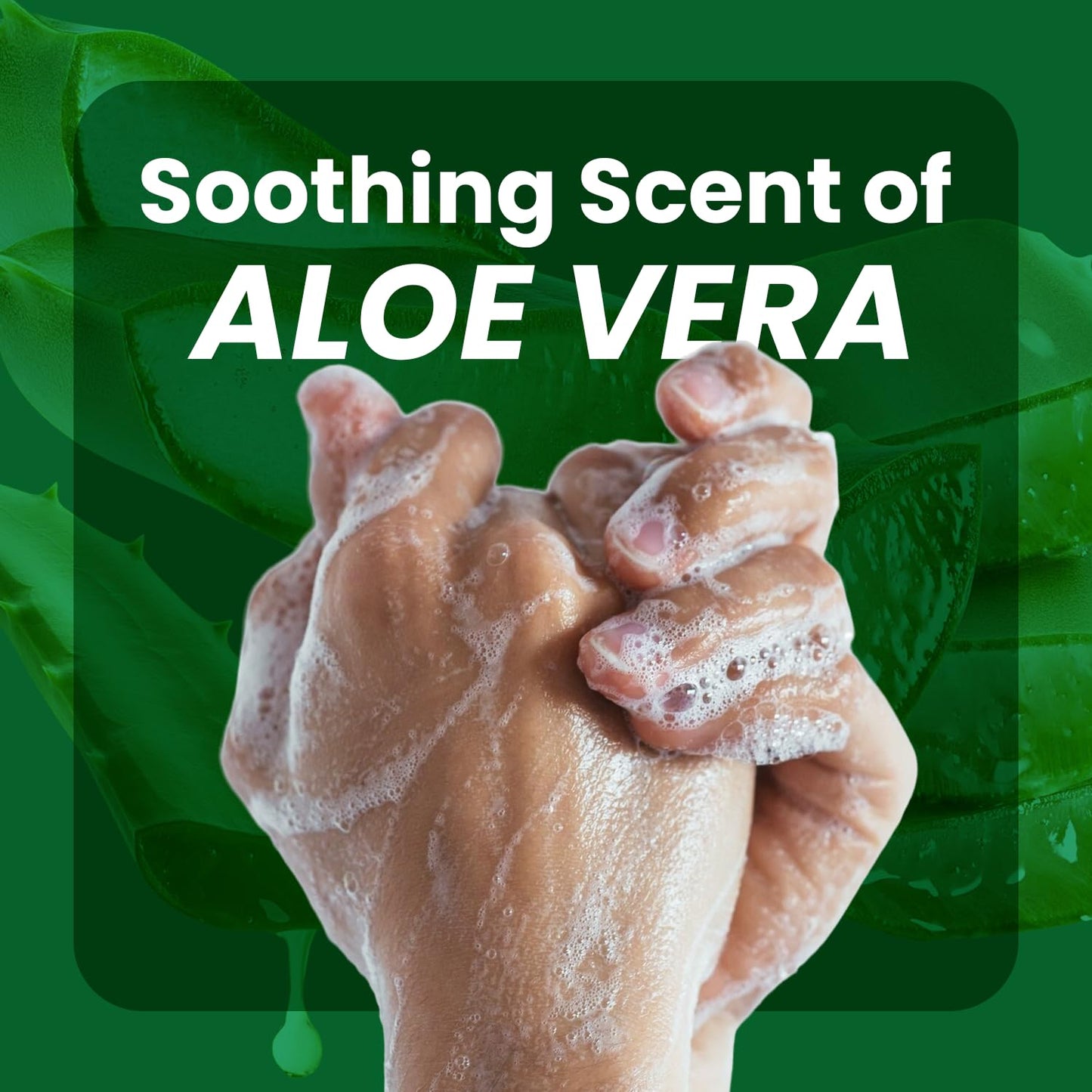 Berkley Jensen Aloe Vera Hand Soap Refills – Moisturizing 64 Fl Oz (Pack of 2) for Soft Skin