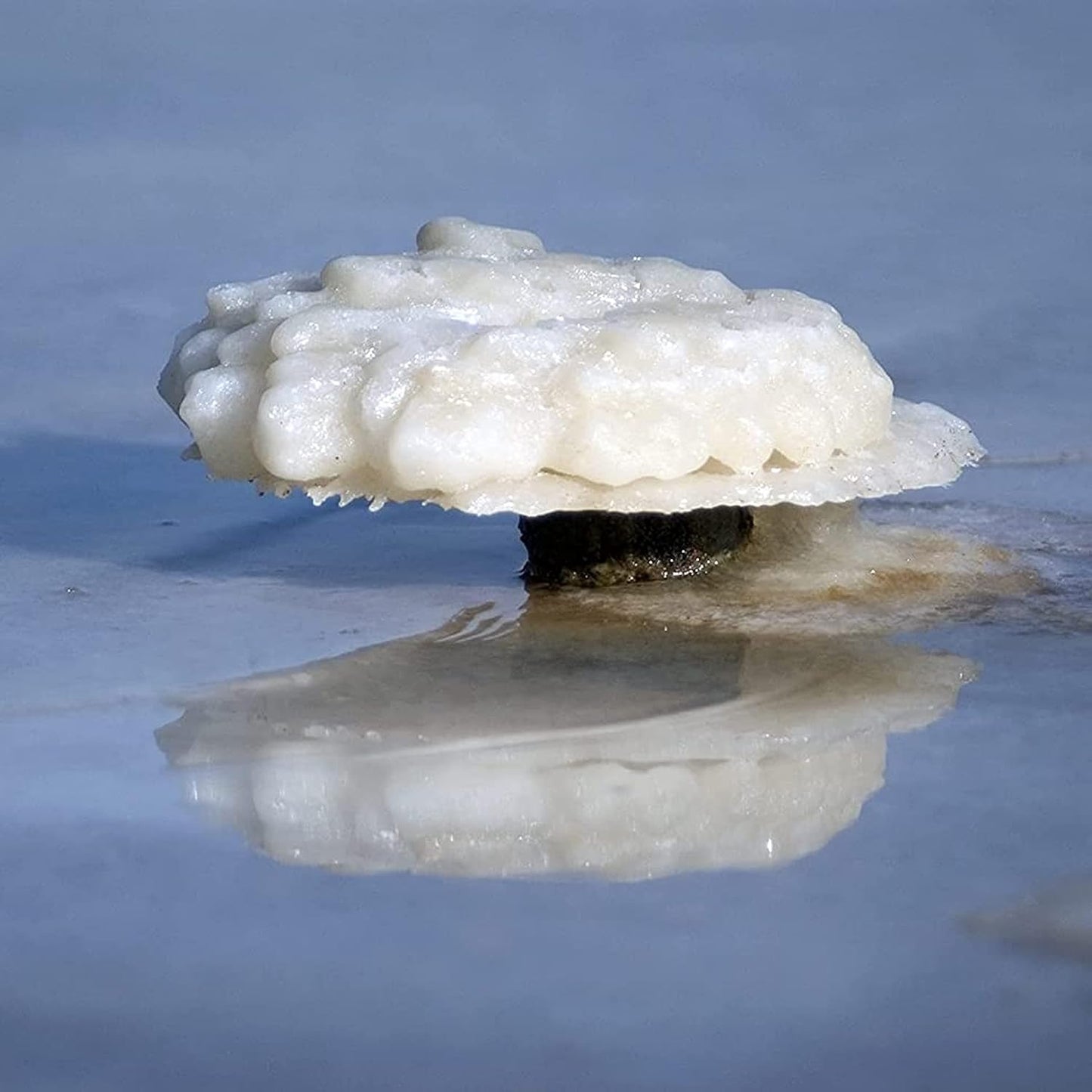 Premium Dead Sea Magnesium Flakes Bath Salts - 5 lb Relaxation & Muscle Relief