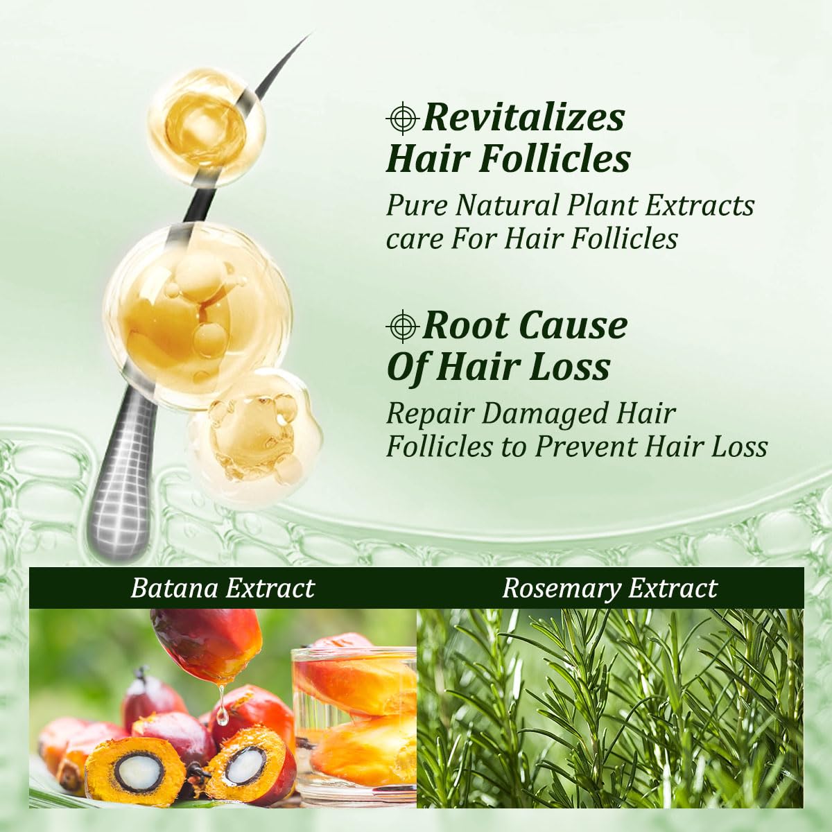 Gypsophila 2 Pack Batana Oil Shampoo for Hair Growth, Rosemary Shampoo – Nourishing & Rejuvenating for Softness & Volume, Suitable for Men & Women, Reduces Hair Loss