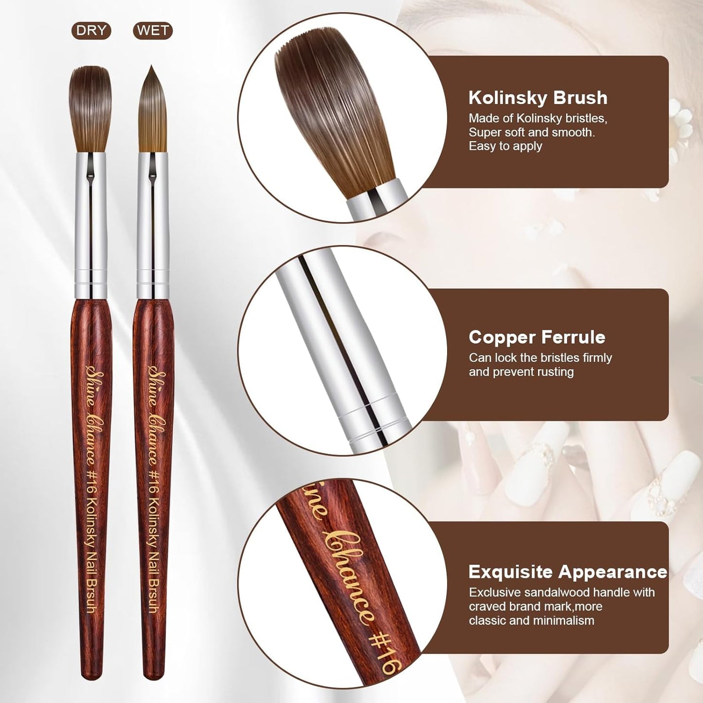 Professional Acrylic Nail Art Brush - Size 16 Kolinsky Hair Oval for DIY Salon