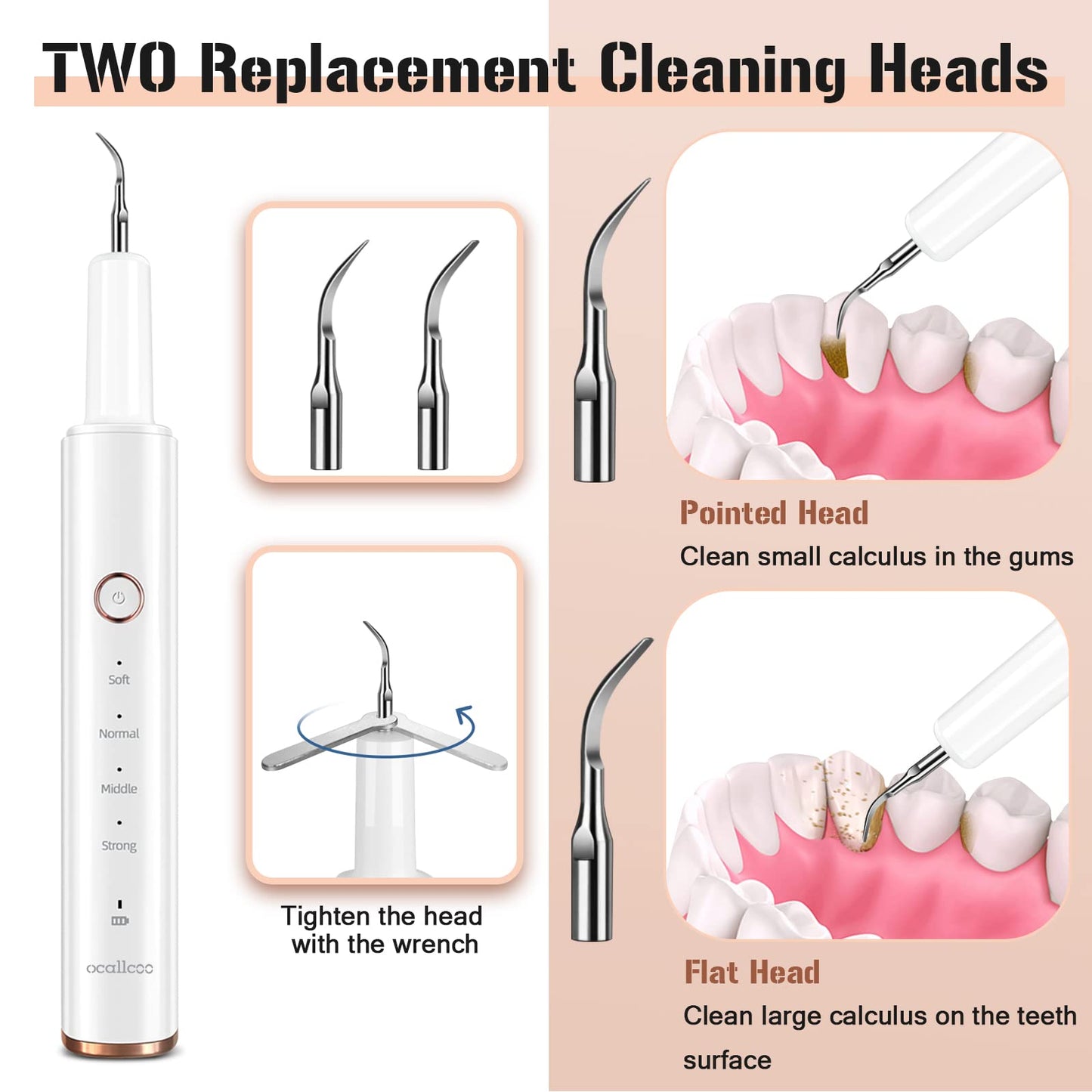 Plaque Remover for Teeth, Electric Tooth Cleaner Tartar Remover for Teeth with LED Light,4 Modes Rechargeable Teeth Cleaning Kit with Dental Tools, 2 Replaceable Heads (White A)