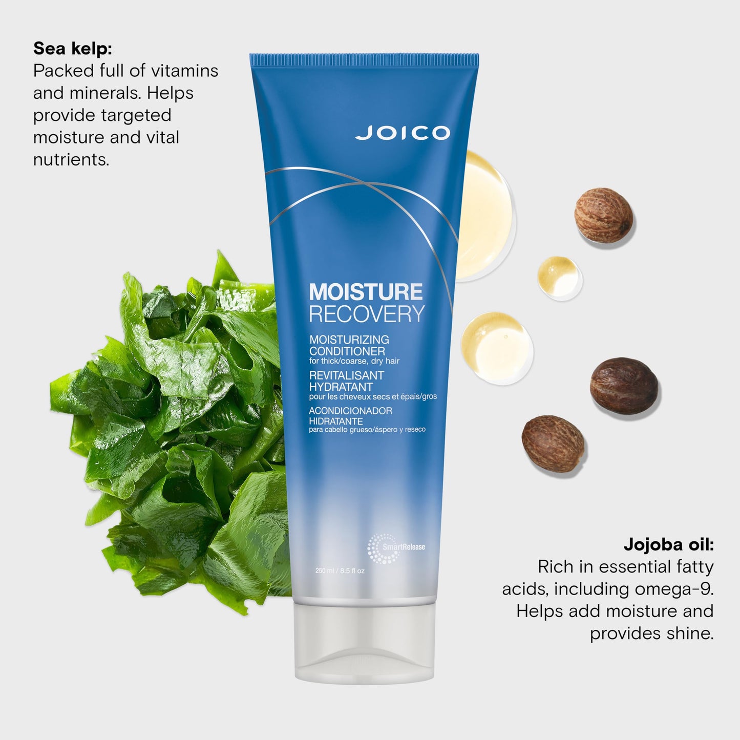 Joico Moisture Recovery Moisturizing Conditioner | For Thick, Coarse, Dry Hair | Restore Moisture, Smoothness, Strength, & Elasticity | Reduce Breakage | With Jojoba Oil & Shea Butter | 8.5 Fl Oz