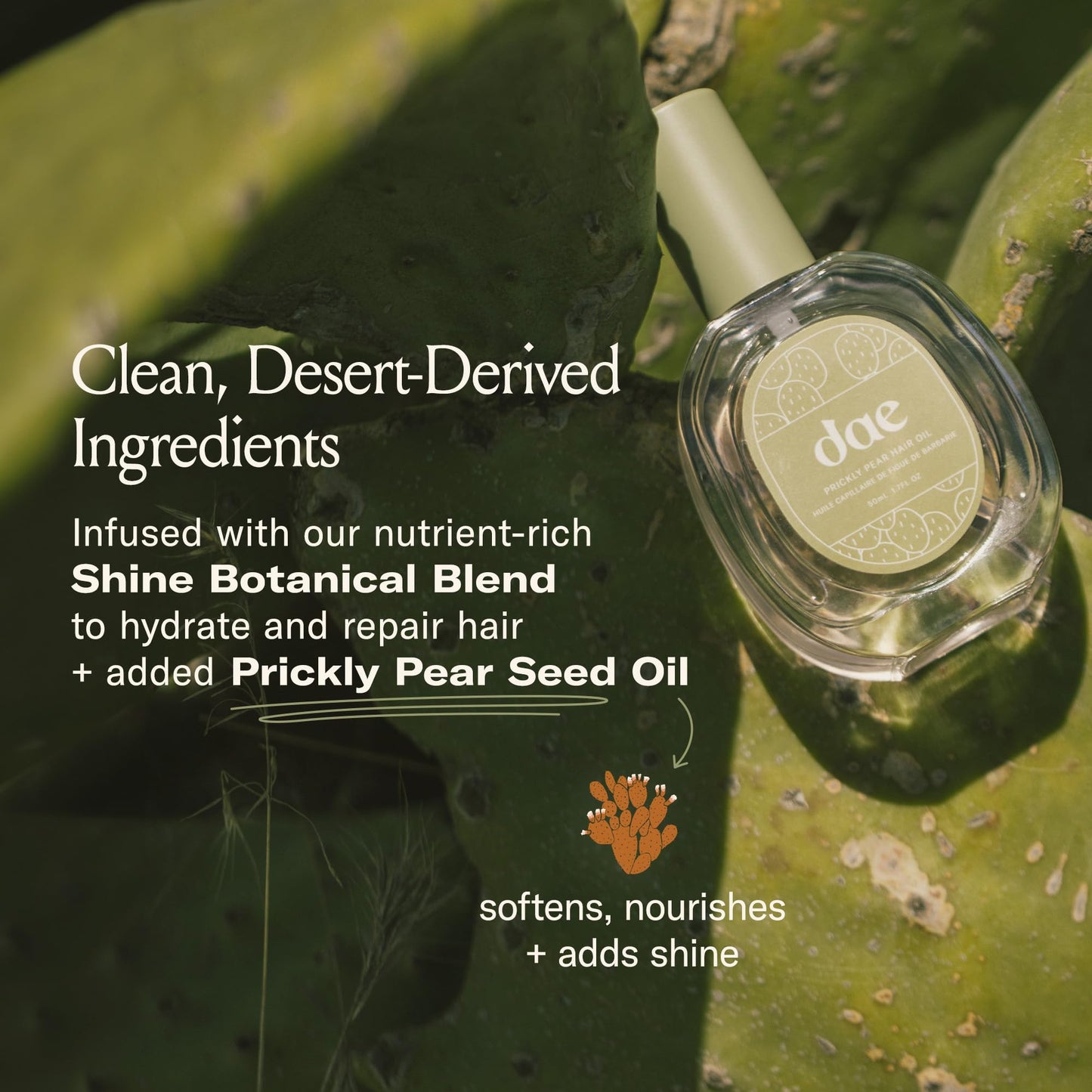 DAE Prickly Pear Hair Oil - Smooths Frizz, Hydrates, Prevents Breakage, Detangles, & Adds Shine (1.7 oz)