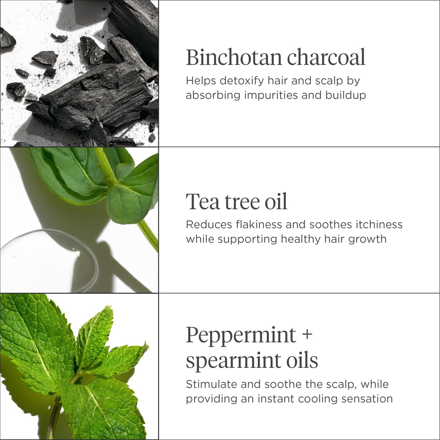 Briogeo Scalp Revival Charcoal + Tea Tree Scalp Treatment, Scalp Serum to Soothe a Dry, Flaky, Itchy Scalp, Absorb Oil, Hydrate Dry Scalp, Clarify Build Up, Vegan, Cruelty-Free, 1 fl oz