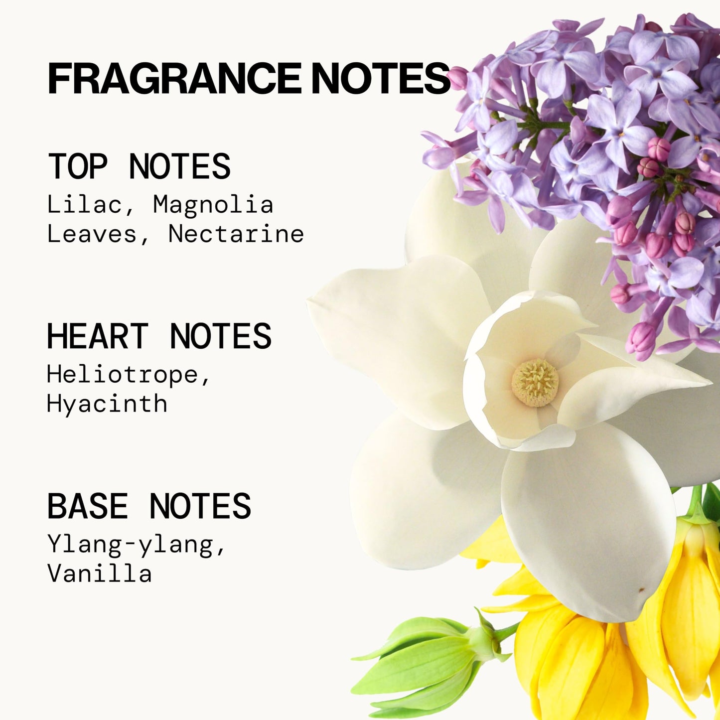 Pacifica French Lilac Perfume & Hair Mist and Body Spray Set – Fresh Spring Lilac Fragrance Duo with Magnolia, Ylang Ylang & Heliotrope Notes Vegan, Alcohol-Free Clean Beauty Fragrance for Her