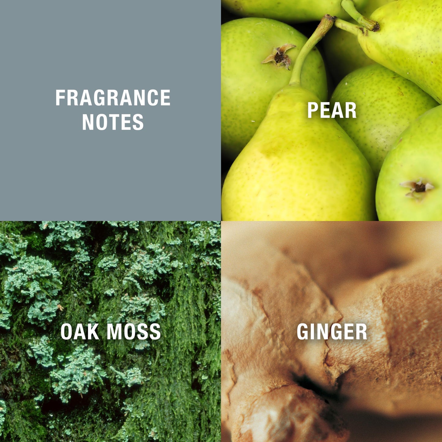 Curve Men's Cologne Fragrance Spray, Casual Day or Night Scent, Curve Crush, 2.5 Fl Oz