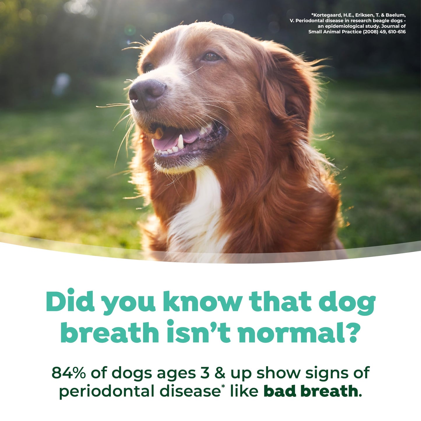 TropiClean Fresh Breath Water Additive Concentrate for Dogs | Breath Freshener and Teeth Cleaning Solution | No Brushing Required | 2.2oz.