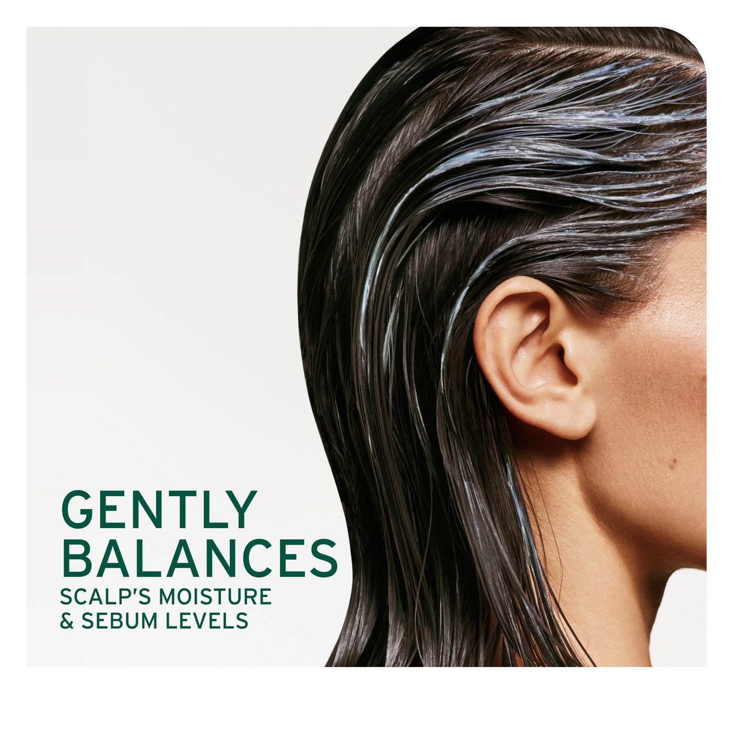 Biolage Scalp Sync Purifying Concentrate - Exfoliating & Clarifying Scalp Treatment, Refreshing & Reinvigorating, Fermented Tea Blend & Glycolic Acid