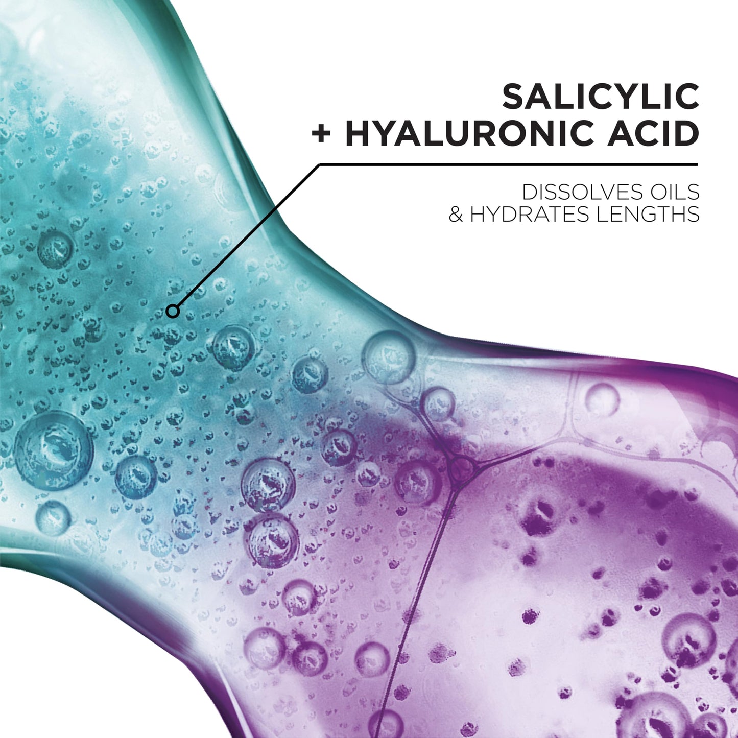 L'Oreal Paris Elvive Hyaluron + Pure Oil Erasing Scalp Serum with Salicylic Acid For Oily Hair, 3.45 Fl Oz
