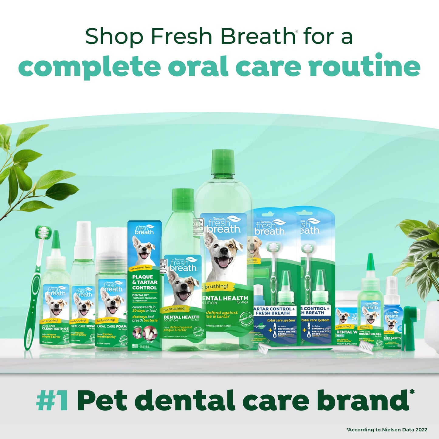 TropiClean Fresh Breath Water Additive Concentrate for Dogs | Breath Freshener and Teeth Cleaning Solution | No Brushing Required | 2.2oz.