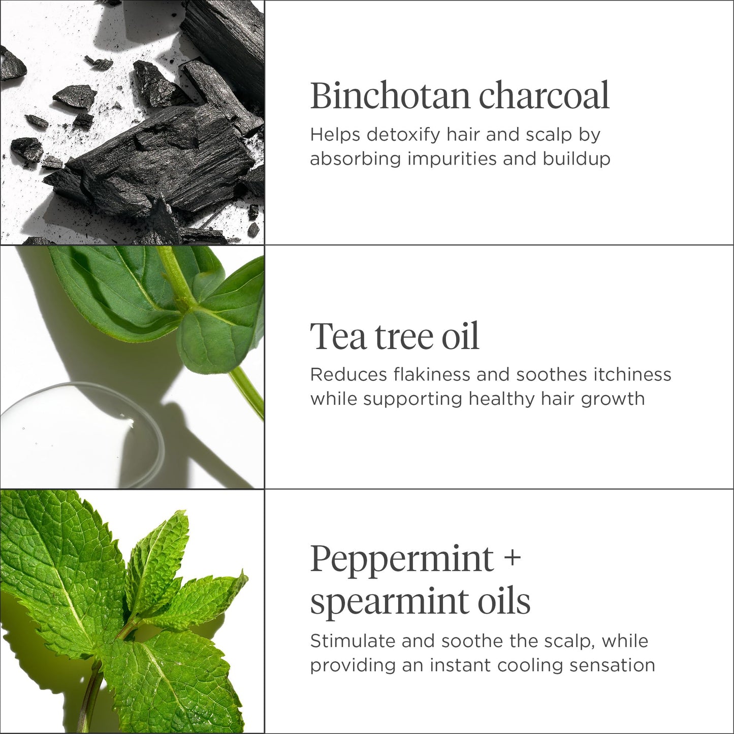 Briogeo Scalp Revival Charcoal + Tea Tree Cooling Hydration Scalp Mask, Dry Scalp Treatment and Moisturizer, Soothes a Dry, Flaky, Itchy Scalp, Treatment for Oily Scalp, Vegan, Cruelty-Free, 6 fl oz
