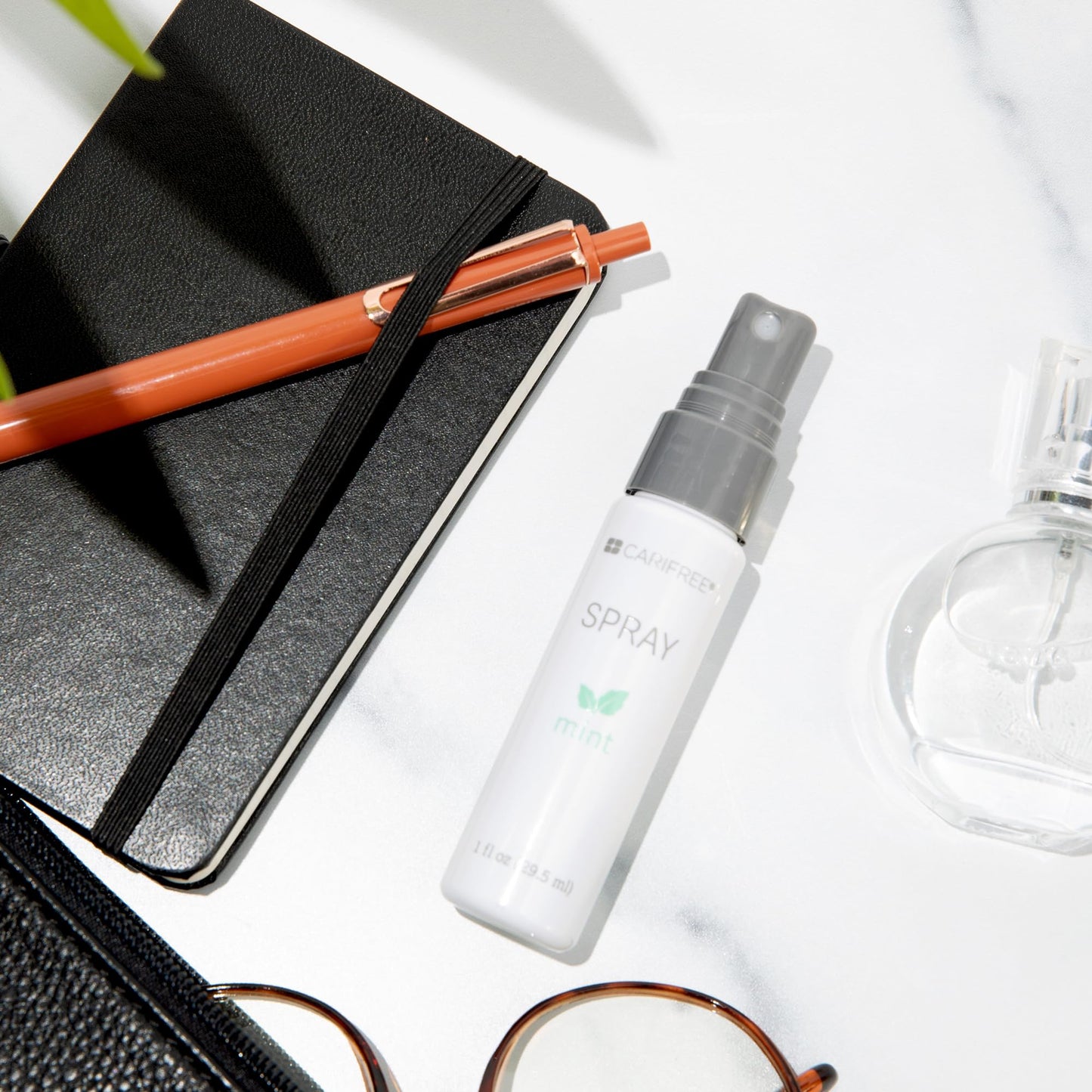 CariFree Oral Spray, Mint Flavored, Xylitol for Moisturization, Neutralizes pH, Fluoride-Free, Freshen Breath, Recommended by Dentists, Made in The U.S.A. 4 Bottles (1 fl. oz. Each)