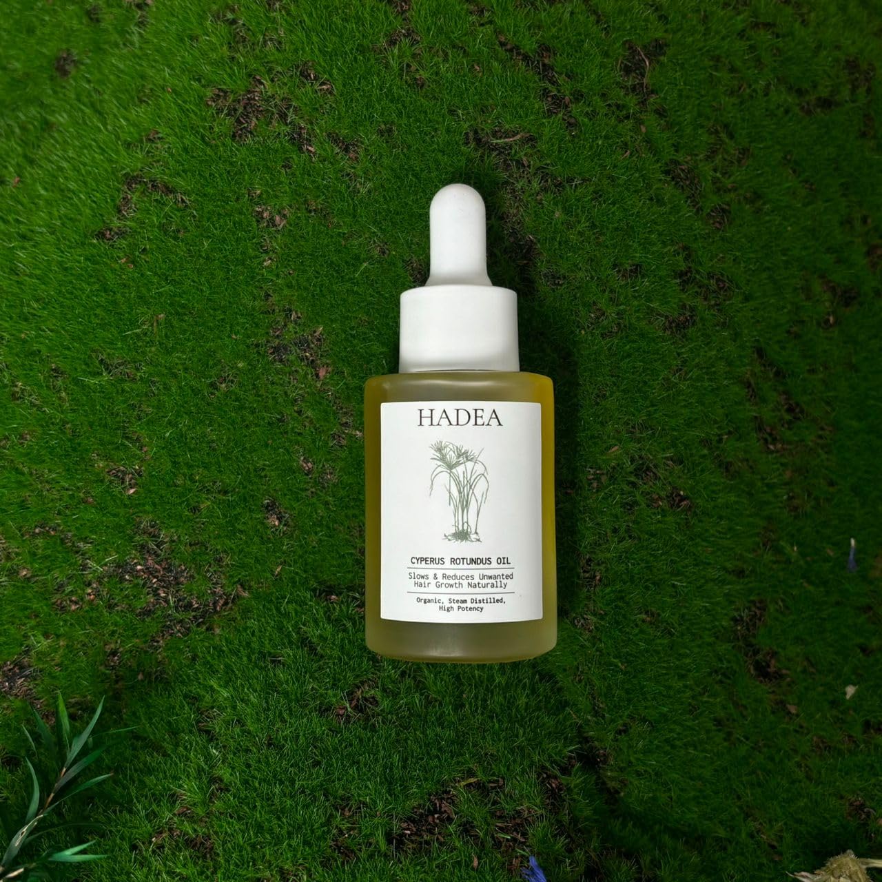 HADEA Cyperus Rotundus Oil to Reduce Hair Growth 100% Organic High-Potency Steam Distilled Cyprus Nutgrass Cypress Hair Inhibitor | Cypress Rotundus Oil For Pcos, Hirsutism, Any Unwanted Hair 30ml