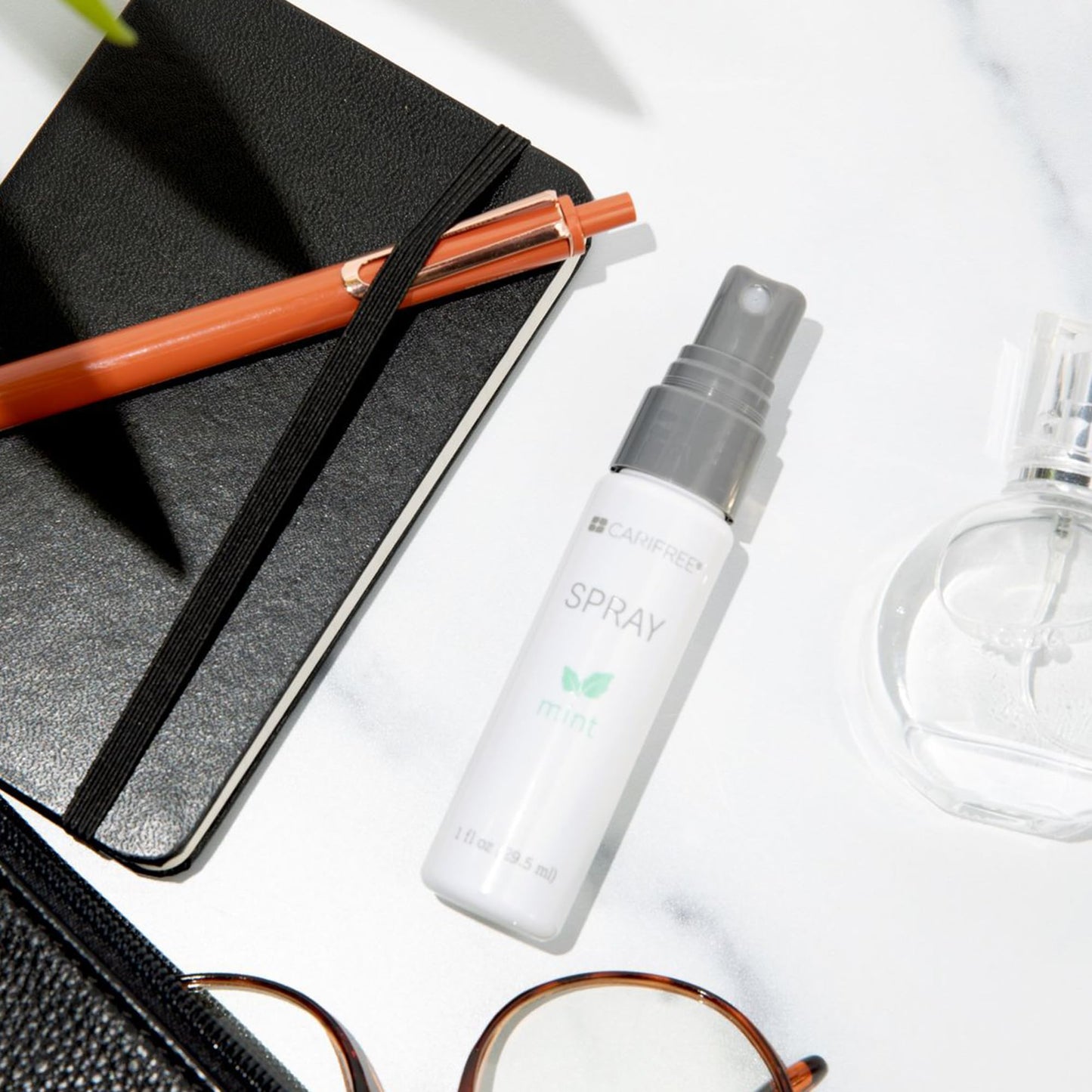 CariFree Oral Spray, Mint Flavored, Xylitol for Moisturization, Neutralizes pH, Fluoride-Free, Freshen Breath, Recommended by Dentists, Made in The U.S.A. 4 Bottles (1 fl. oz. Each)