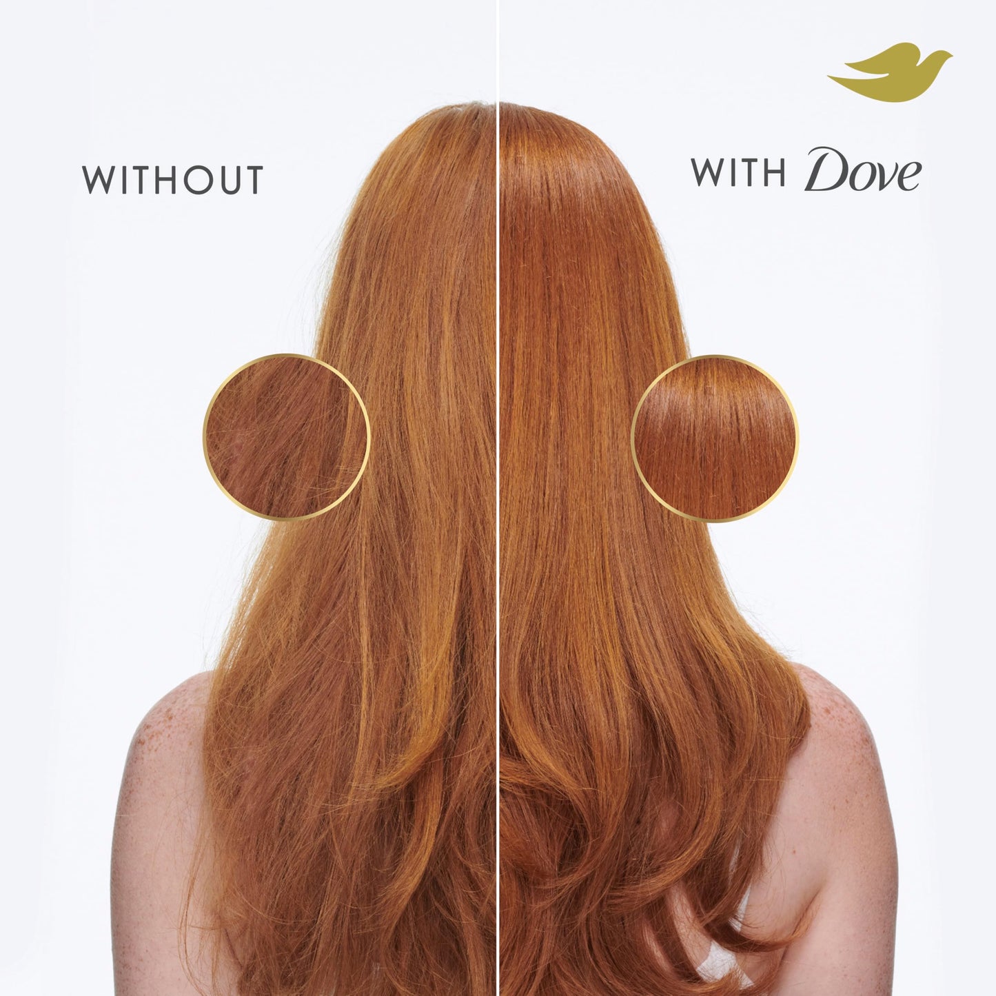 Dove Conditioner Daily Moisture for Dry Hair with Bio-Protein Care Technology and Hyaluronic Serum 28 Fl Oz