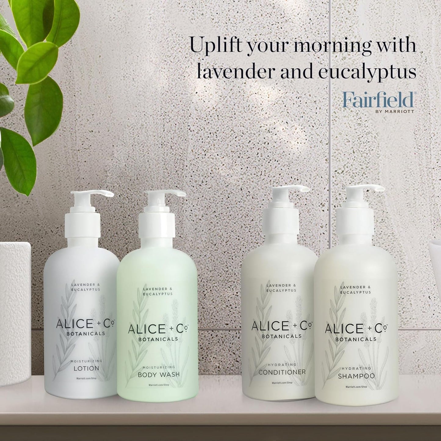 Luxury Lavender & Eucalyptus Body Wash - 8.5 oz Hotel Bath Amenities by Alice + Co.