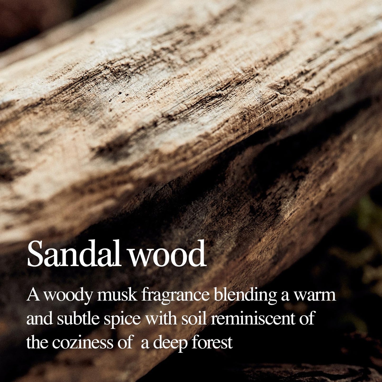 LONGTAKE Sandalwood Intensive Hair Perfume Treatment 6.76 Fl OzㅣImproves softnessㅣ Anti-frizzㅣSplit end repairㅣFor All hair types