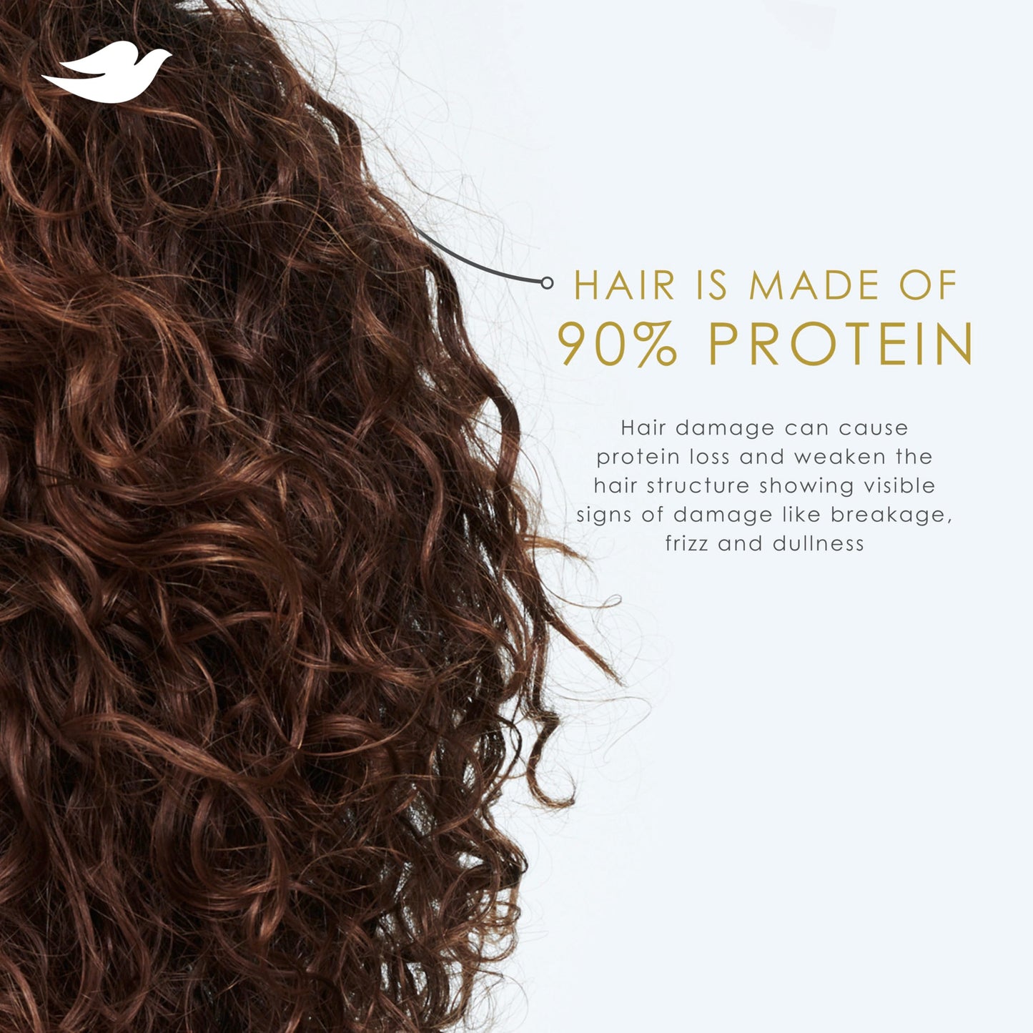 Dove Conditioner Coconut & Hydration for Dry Hair with Bio-Protein Care Technology and Coconut Oil 28 Fl Oz