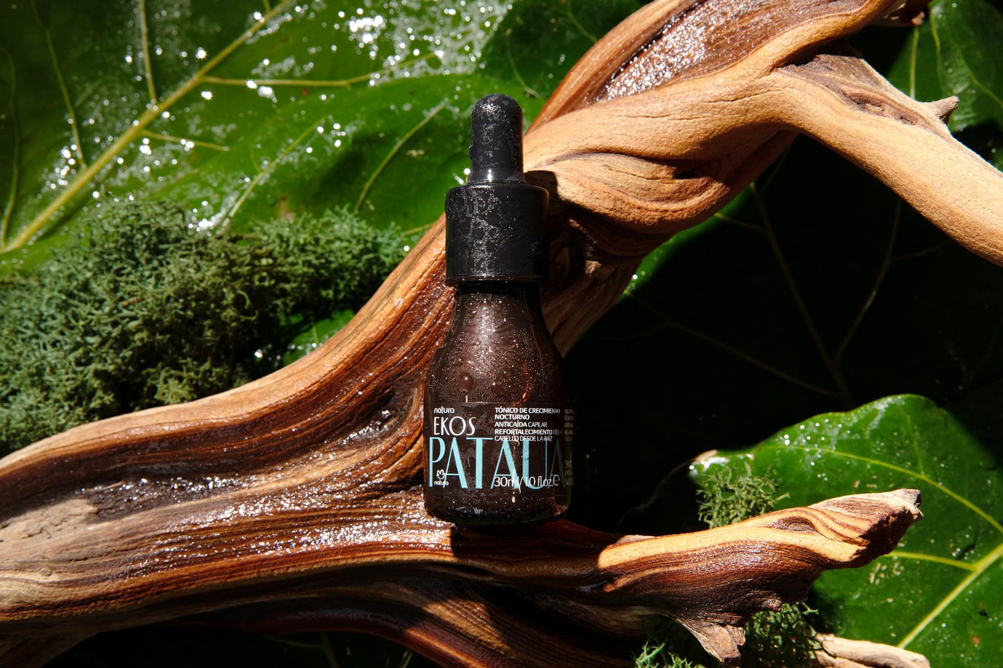 natura Ekos Patauá Anti-Breakage Night Tonic - Accelerate Growth & Strengthen Hair - Increase Density & Prevent Hair Loss - Vegan Hair Care - Brazilian Beauty Secrets - Hair Care 30ml