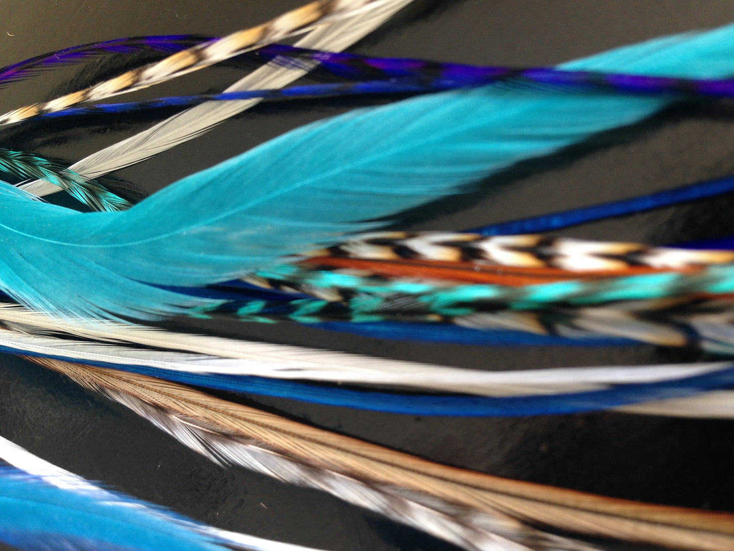 21 pcs Feather Hair Extensions Kit 100% Genuine Bohemian Rooster Feathers Grizzly and Solid 10 6-11" long feathers bonus hook tool and beads included. The 'Ocean Breeze' Collection by Exotic Feathers