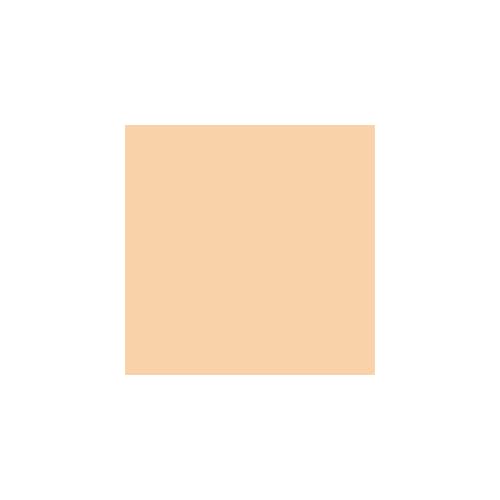 GlamAire Airbrush Makeup by Graftobian - High Definition Airbrush Foundation, Professional Formula for Long-Lasting Wear, For Makeup Artists and Beauty Aficionados, Made in USA, Lady Fair (N)