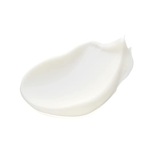 Q+A Ginger Root Daily Moisturizer. A calming face moisturizer packed with antioxidants. 75ml/2.5fl.oz