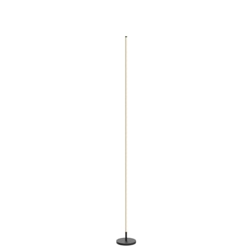 TACAHE Black Minimalist Corner Floor Lamp Dimmable LED 2700K-6500K Remote