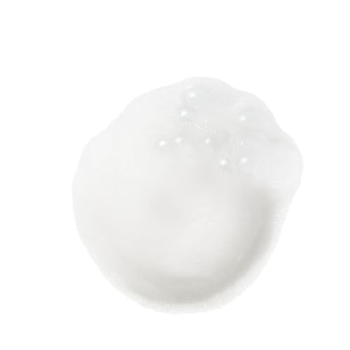 Weleda Gentle Cleansing Face Foam 5 oz (Pack of 2) – for Normal to Combination Skin