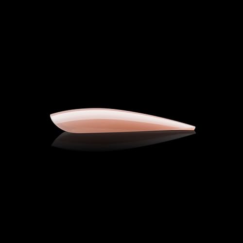 Apres Neutrals Gel-X Lila Box Of Nail Tips, 11 Sizes 00-9, Soft Gel Nail Tip Box, Nail Extensions (150pcs) (Natural Stiletto Long, 150pcs)