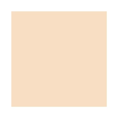 Loose Face Powder MAC Studio Fix Pro Set + Blur Light Oil Control Matte Finish